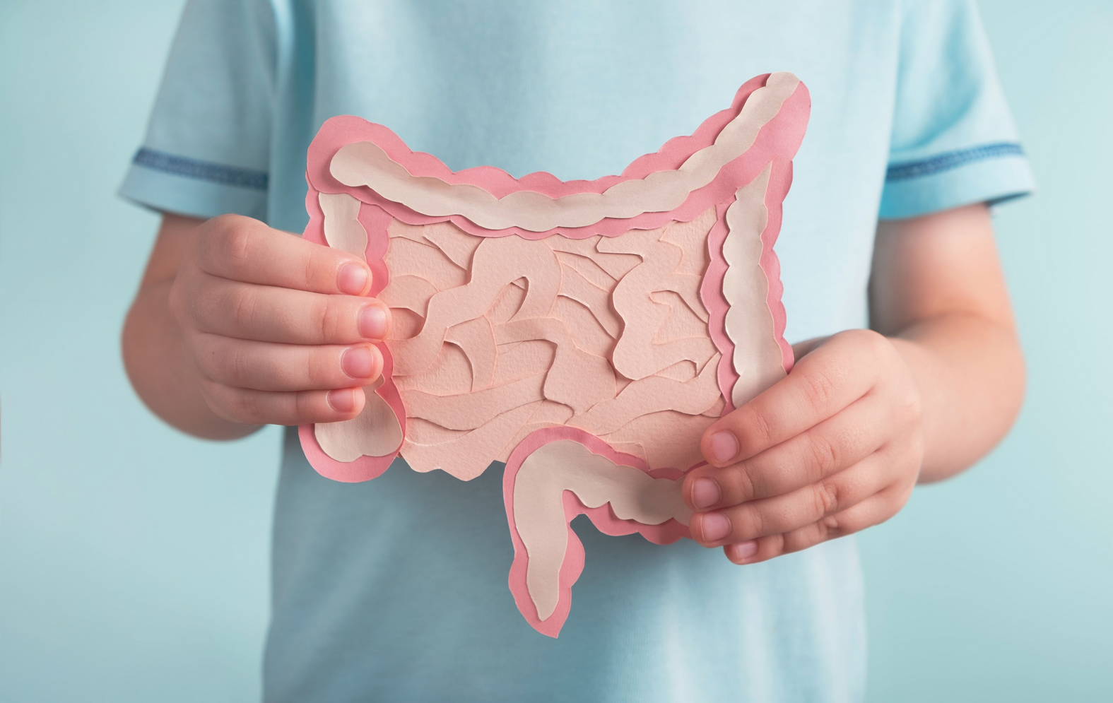 Mengenal Lactobacillus reuteri: Probiotik dengan Segudang Manfaat